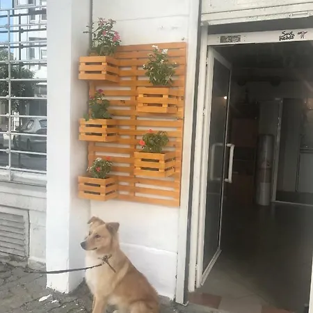 Art Studio/ Atelier партерь
